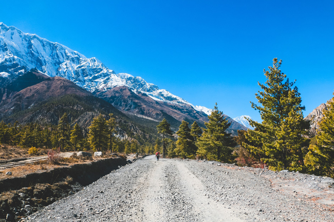 Annapurna Circuit Trek