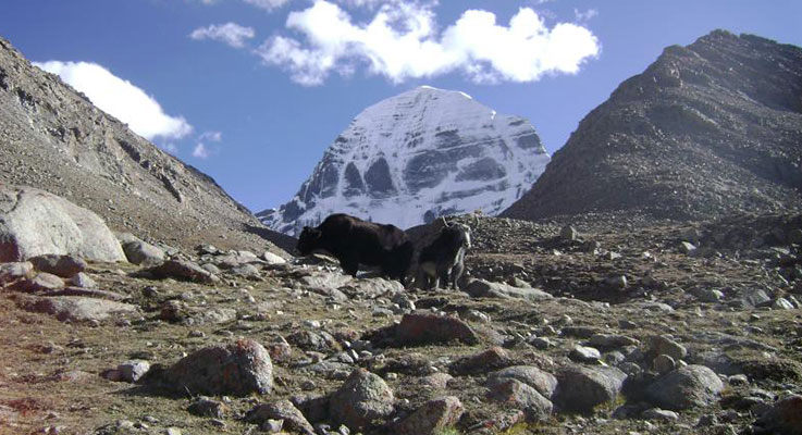 Mount Kailash Tour