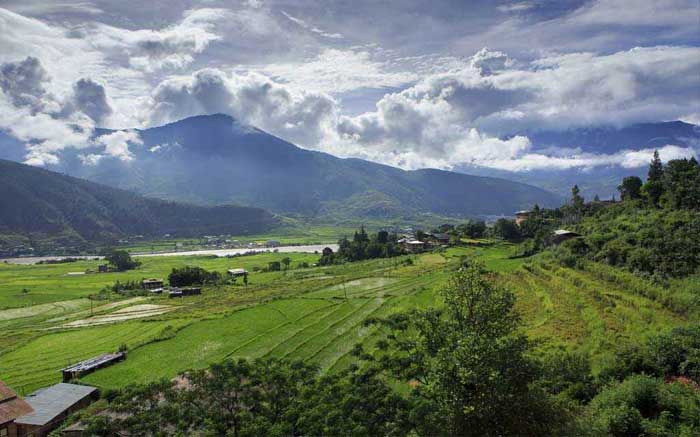 Punakha