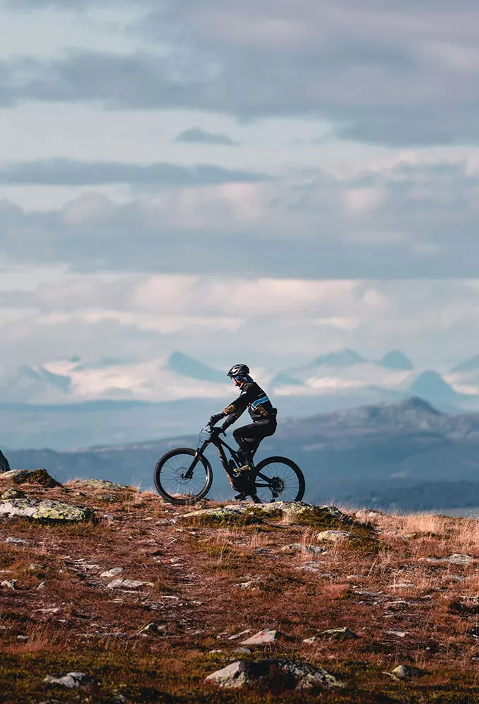 Mountain Bike Tours