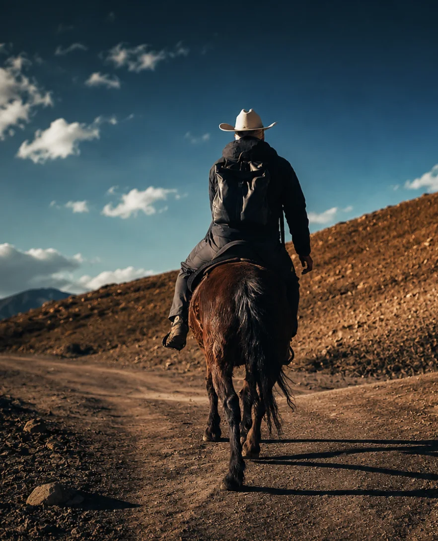 Horse Tour